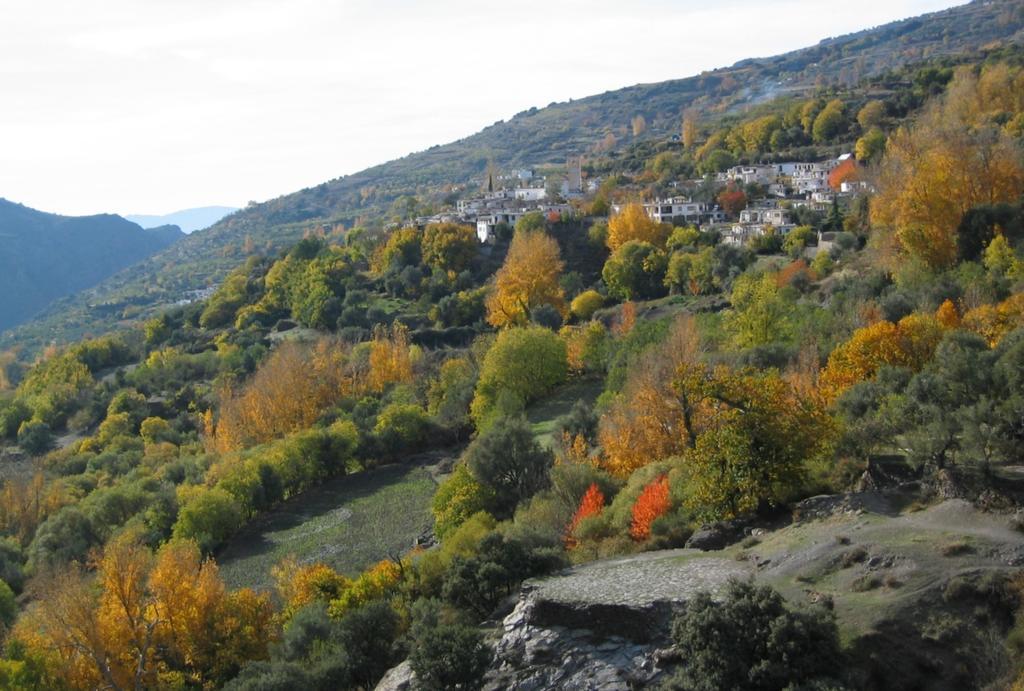 Bed and Breakfast Sierra Y Mar Феррейрола Экстерьер фото